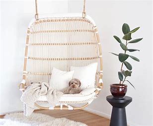 Indoor Hanging Chairs